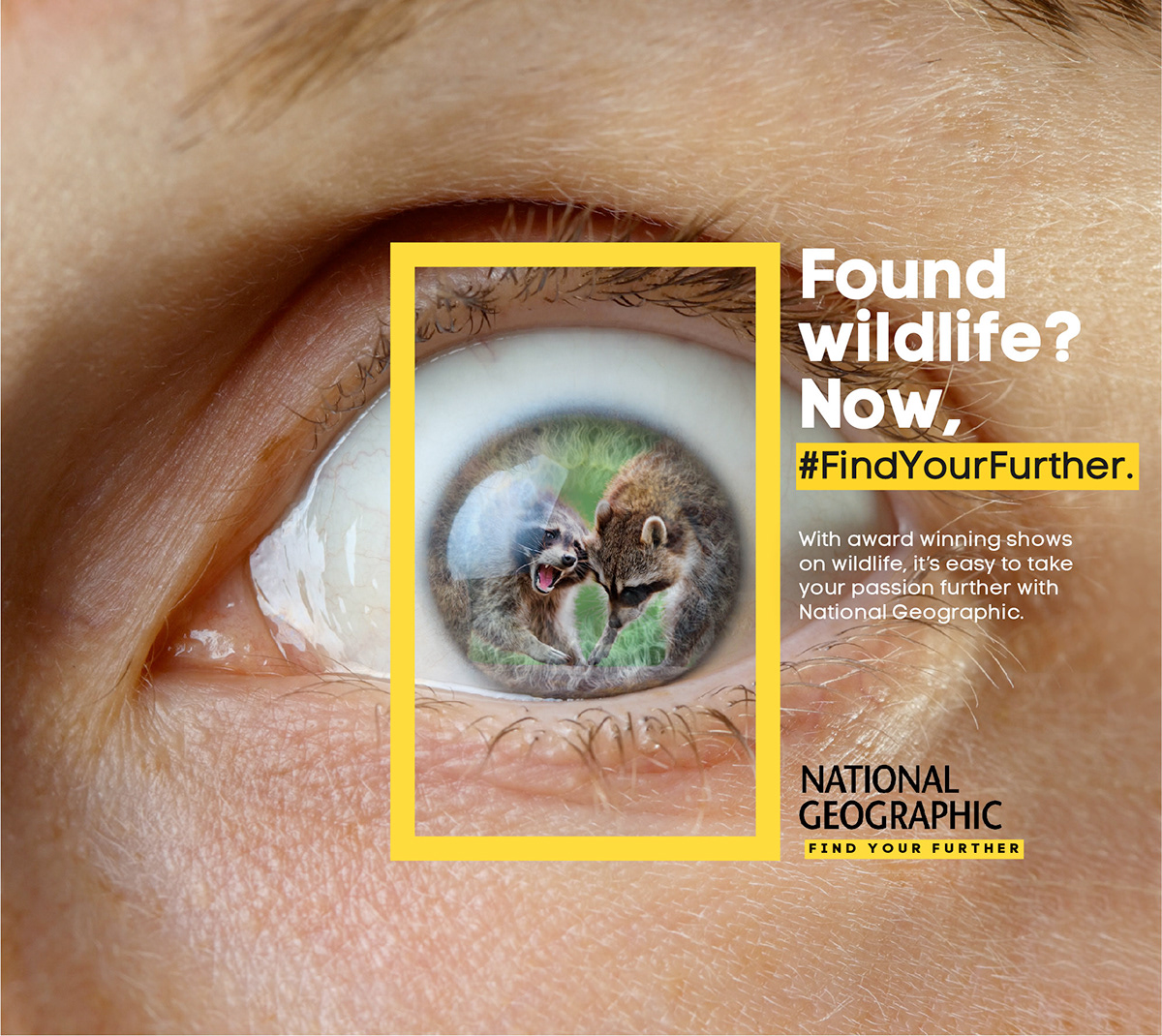National geographic - Brand campaign — project image 1
